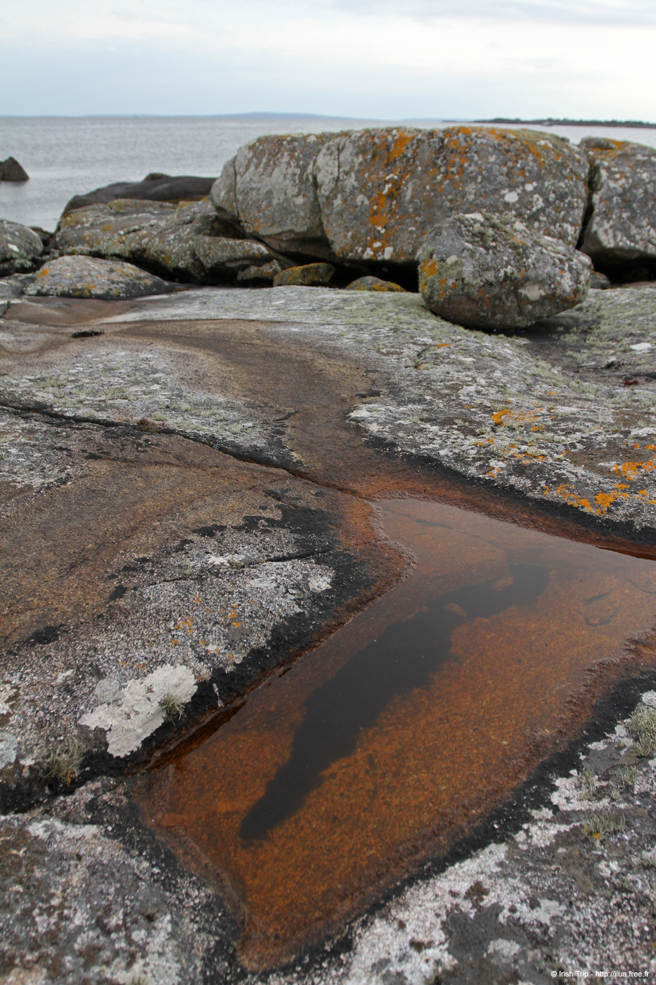 20120505_tonacrickhead05