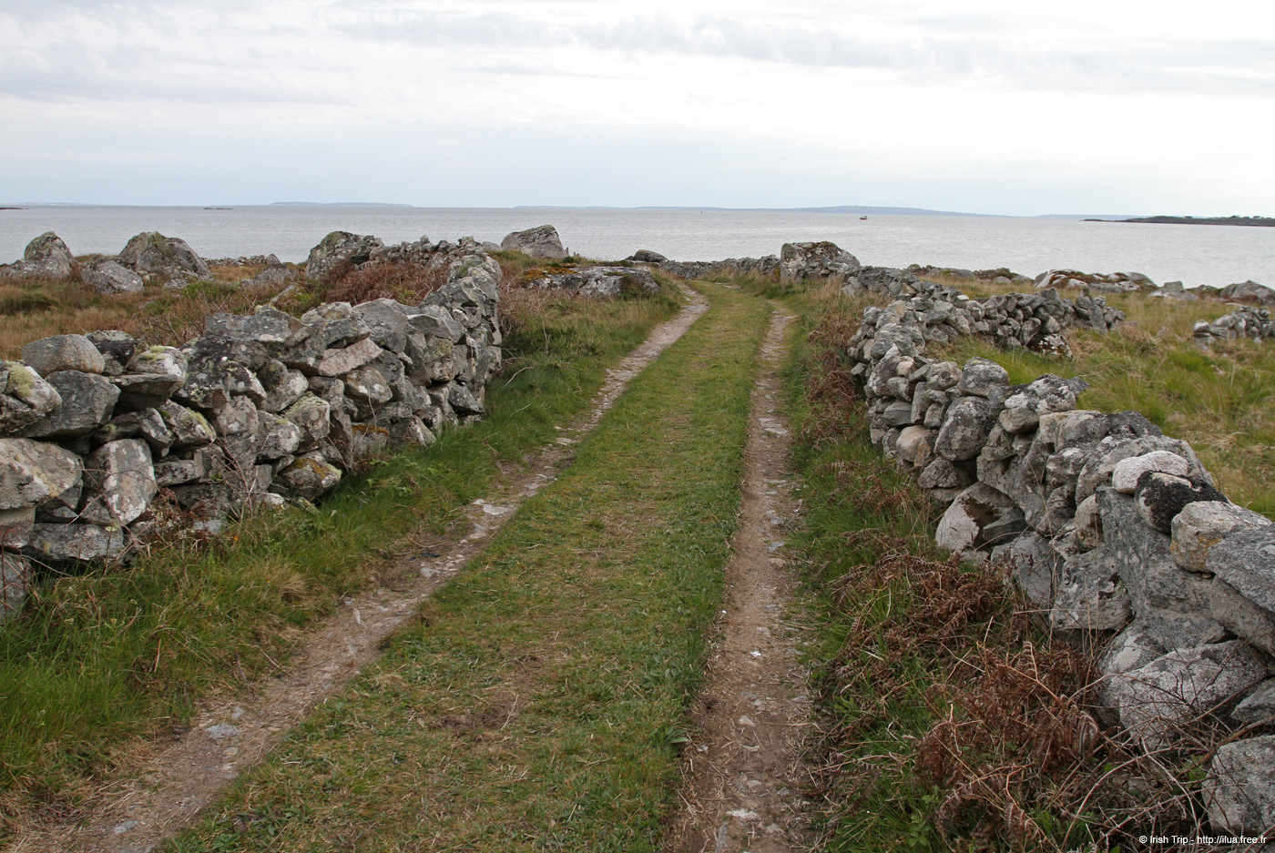 20120505_tonacrickheadway2