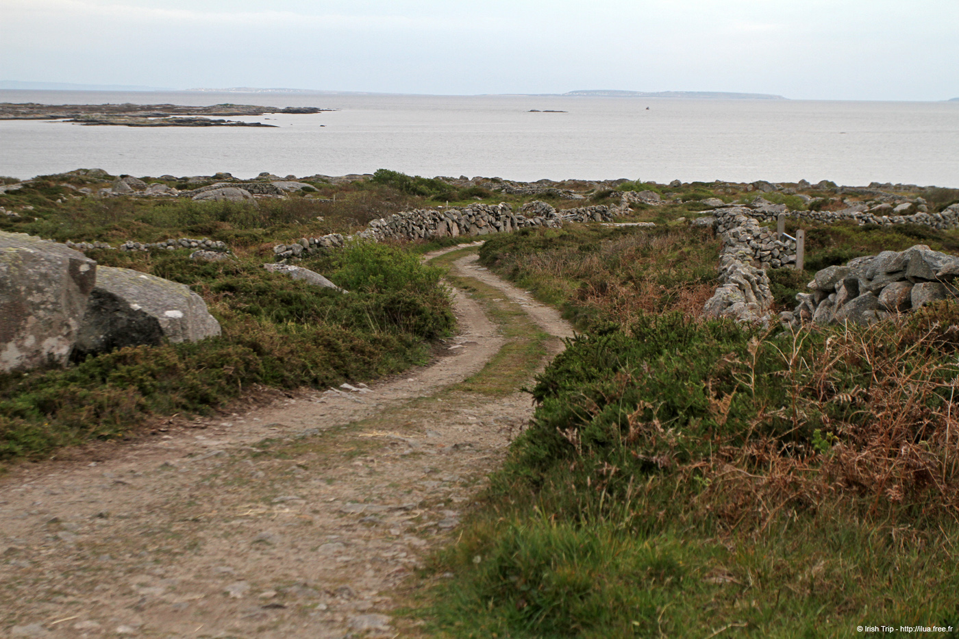 20120505_tonacrickheadway4