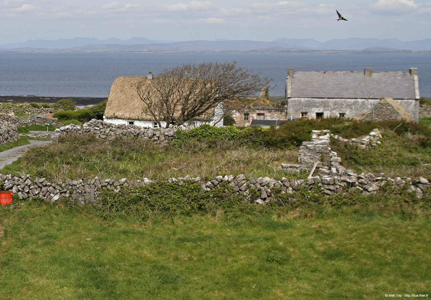 20120506_aranbalynacragga2