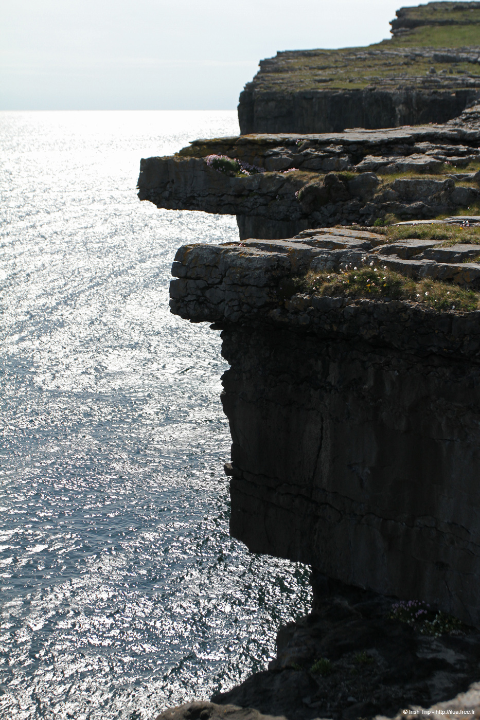 20120506_aranblindsoundcliffedge04
