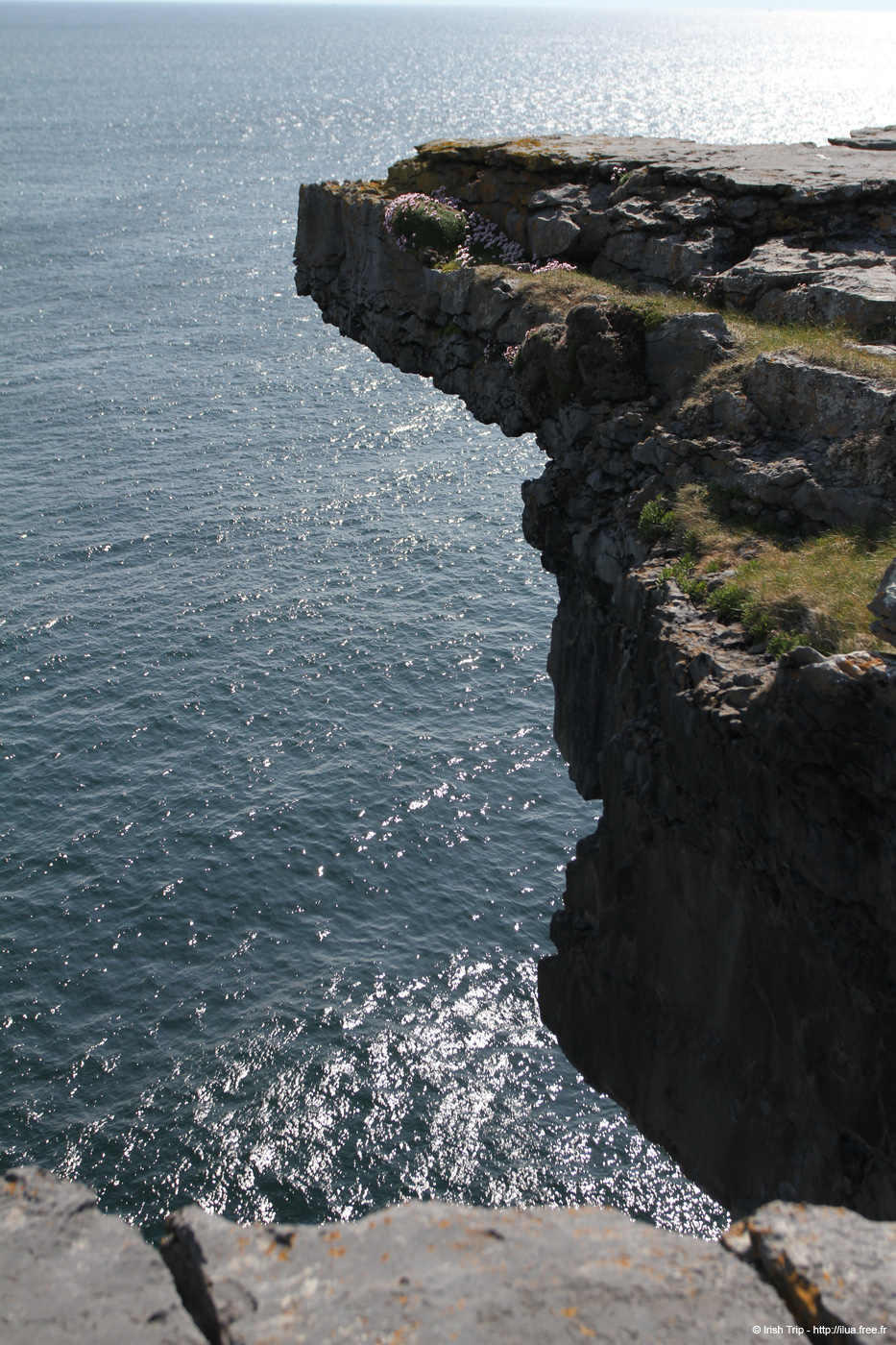20120506_aranblindsoundcliffedge05
