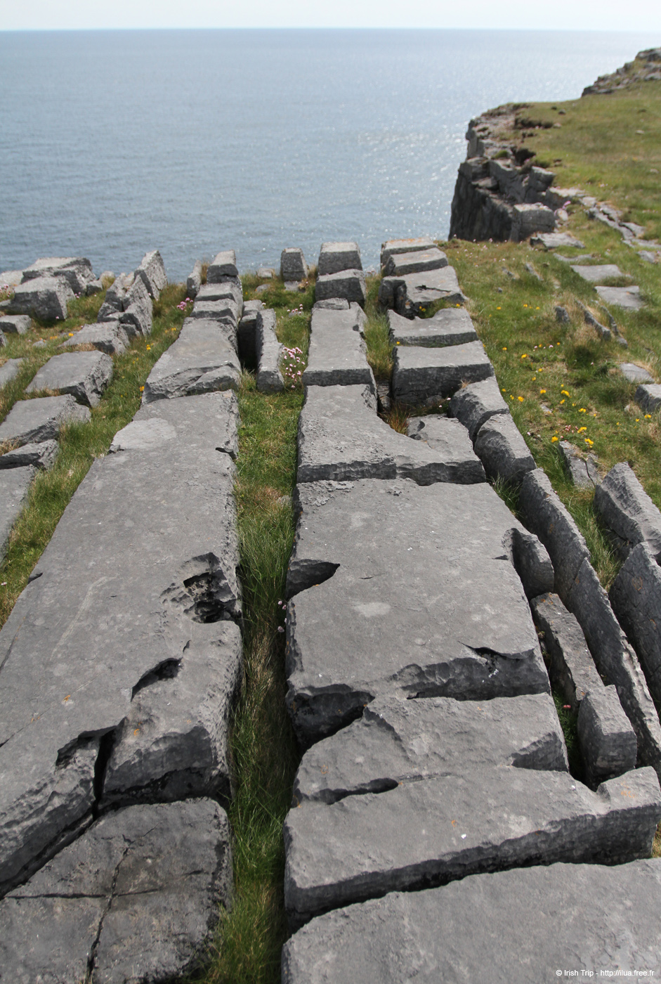 20120506_aranblindsoundcliffedge08