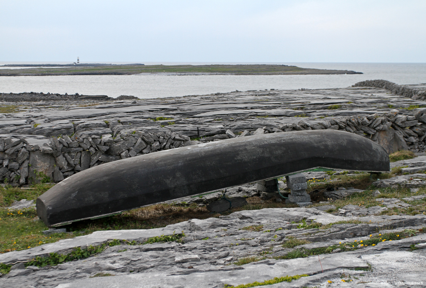 20120506_aranbrannockheadcurragh1