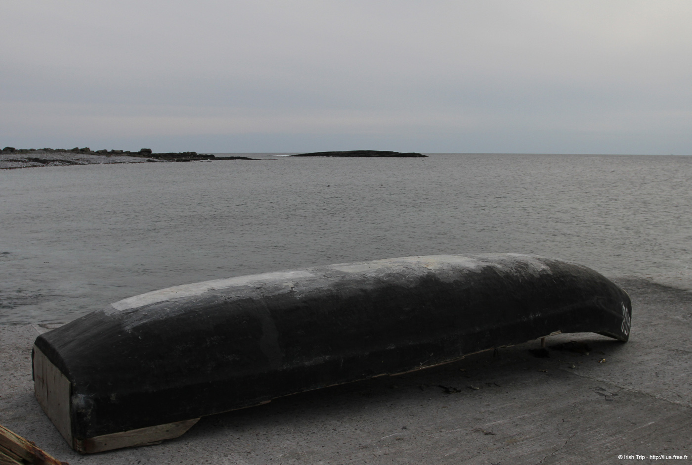20120506_aranbrannockheadcurragh2