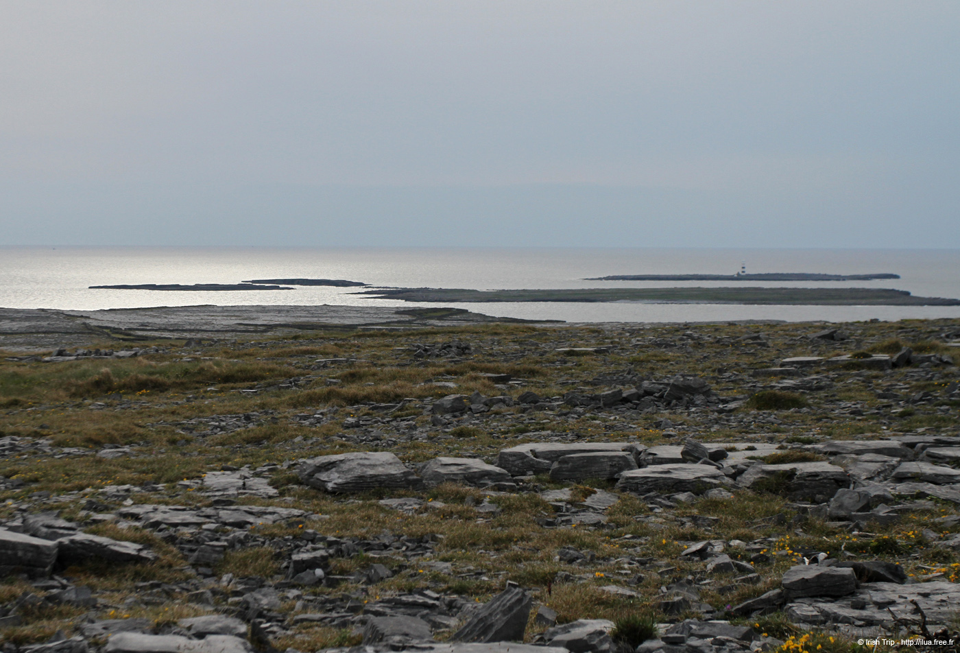 20120506_aranbrannockheadlighthouse12