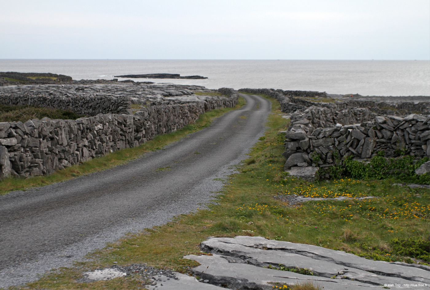 20120506_aranbrannockheadroad2