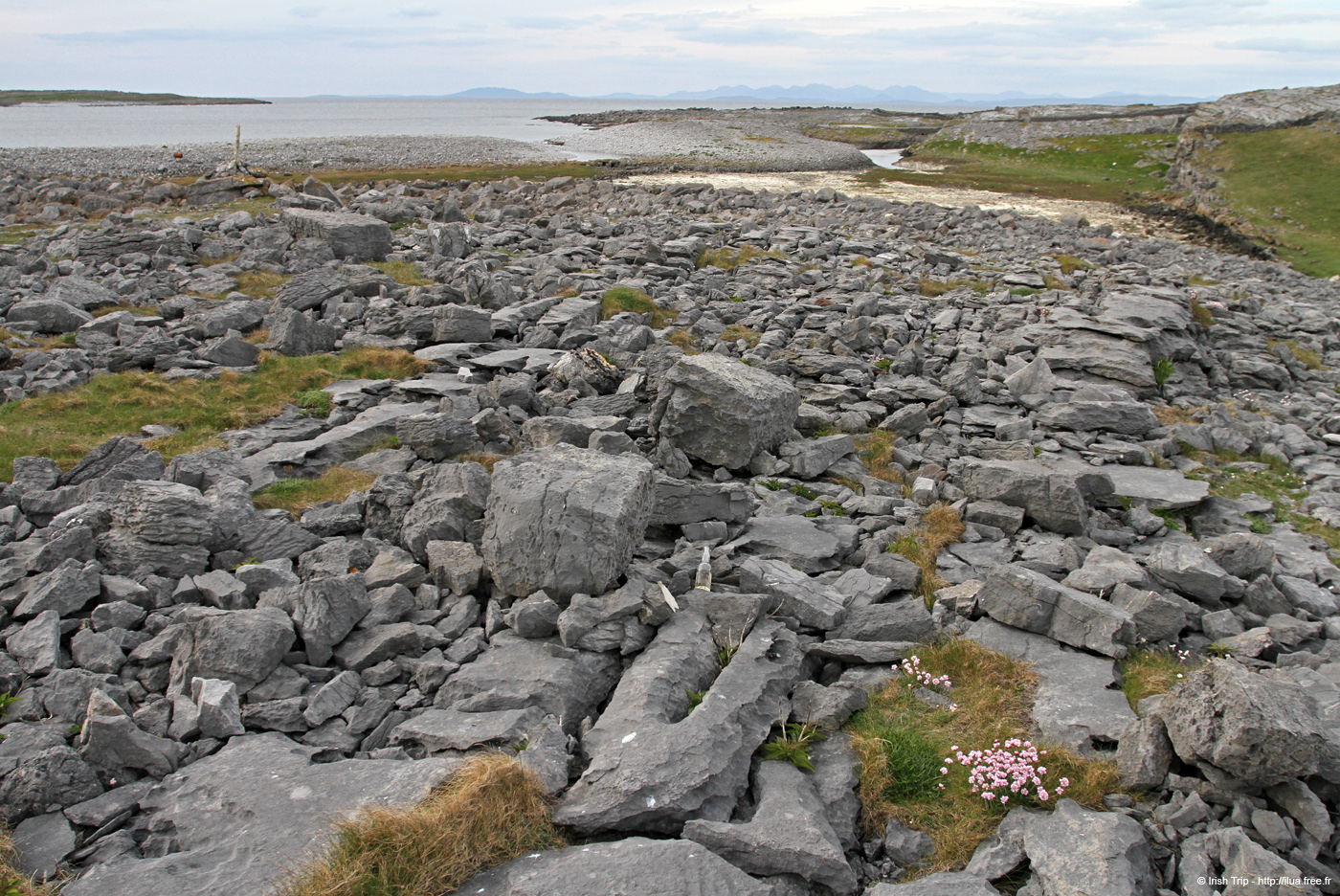 20120506_aranbrannockheadsound6