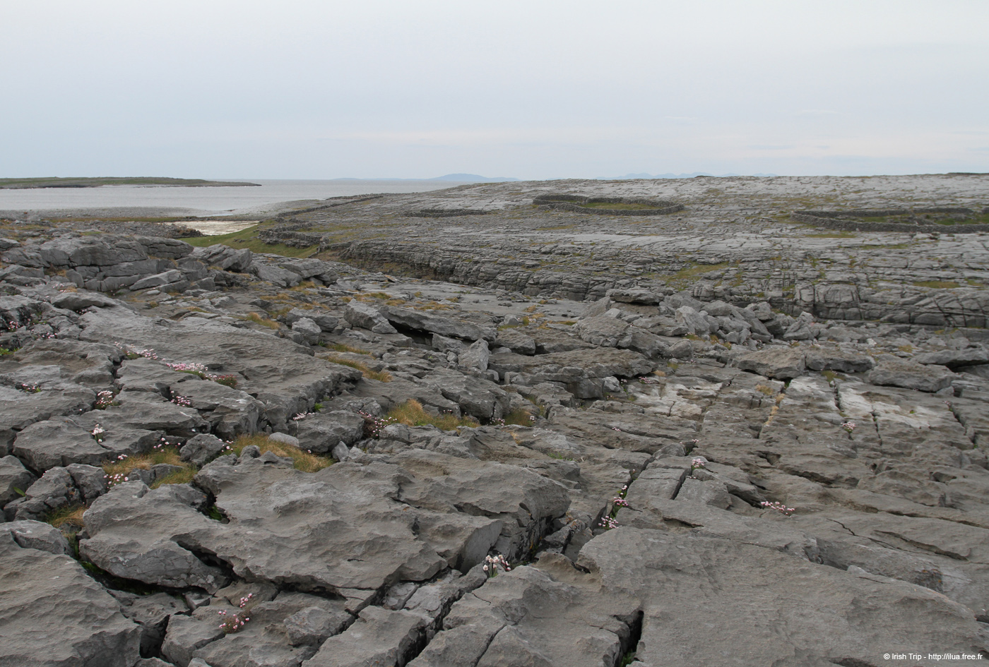 20120506_aranbrannockheadsound7