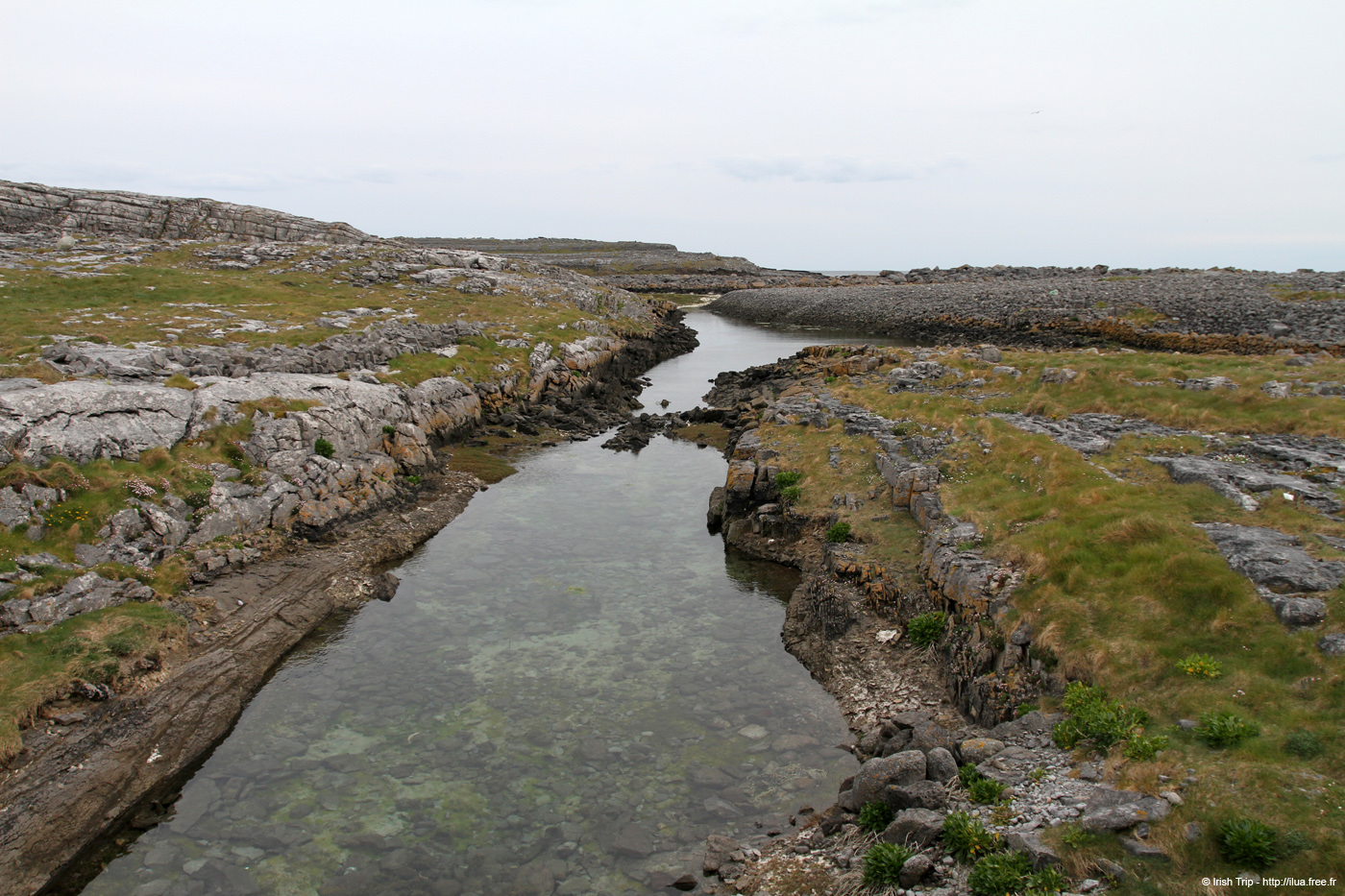 20120506_aranbrannockloughamurvy1