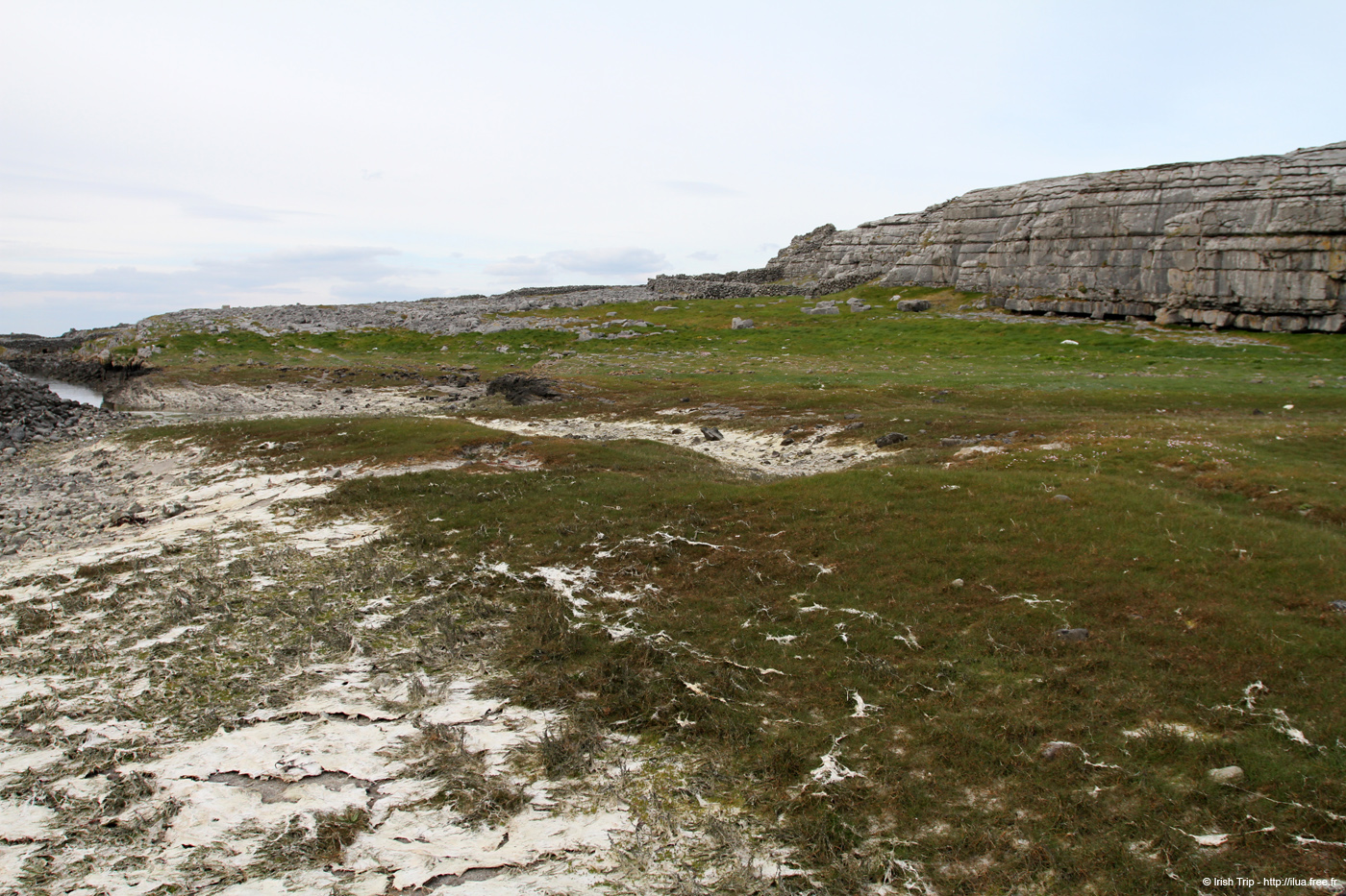 20120506_aranbrannockloughamurvy2