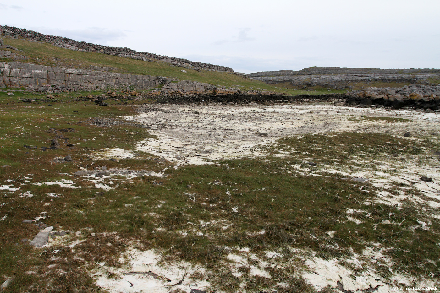 20120506_aranbrannockloughamurvy3