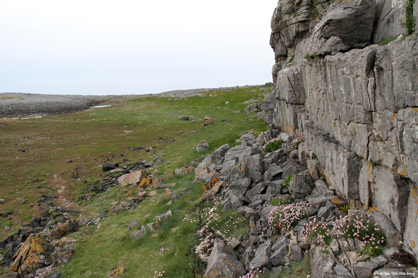 20120506_aranbrannockonaght02