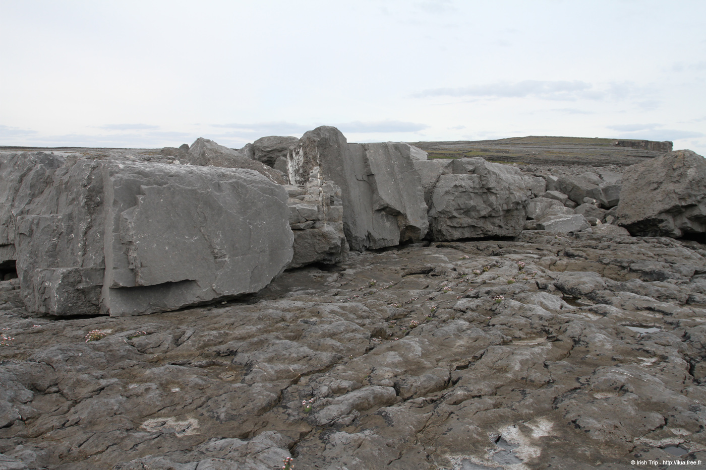 20120506_aranbrannockonaght07