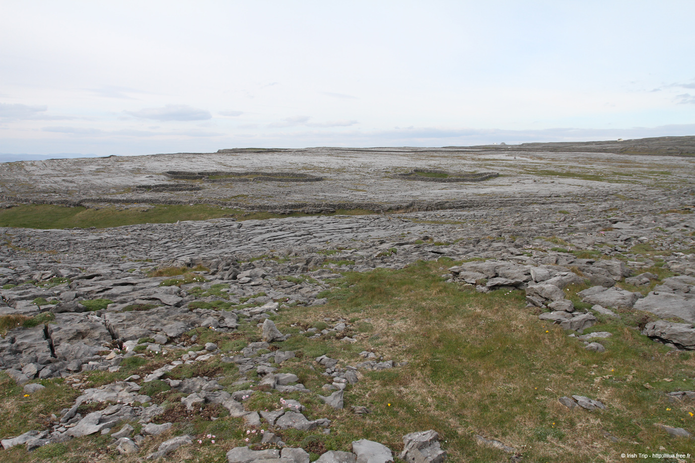 20120506_aranbrannockonaght11