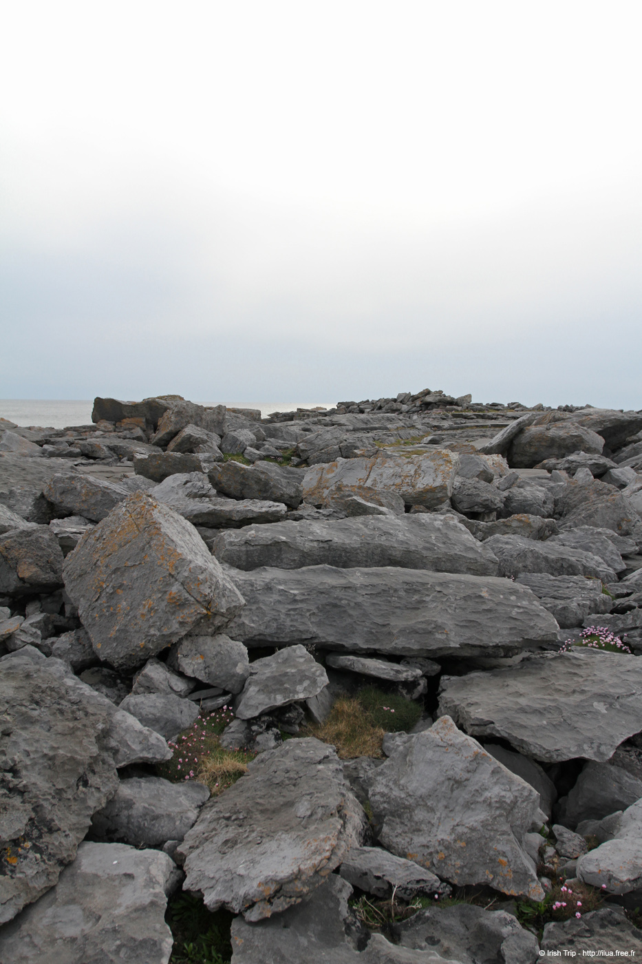 20120506_aranbrannockonaght13