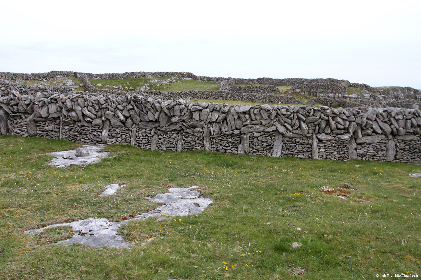 20120506_aranbrannockonaghtwall2
