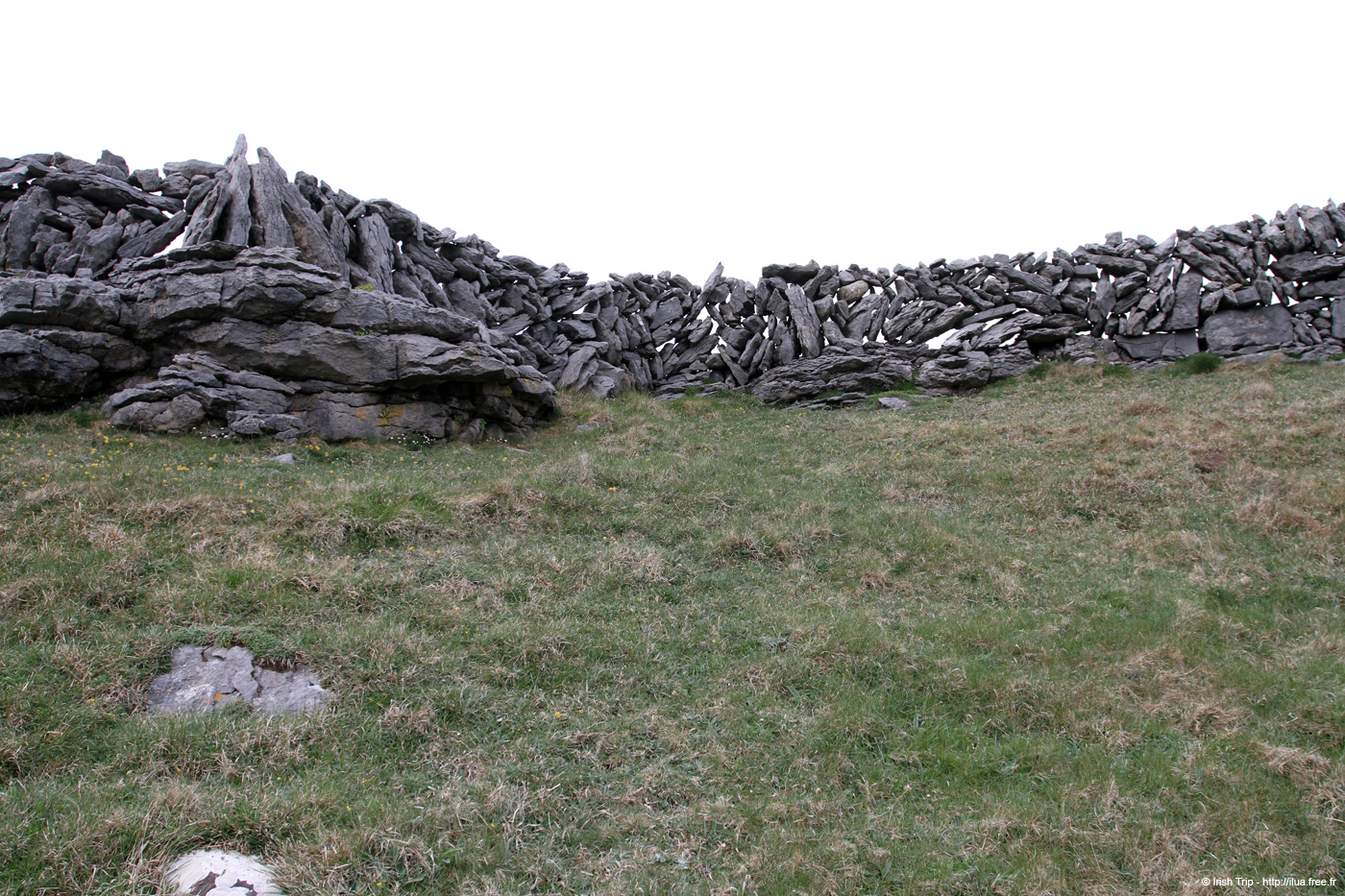 20120506_aranbrannockonaghtwall4