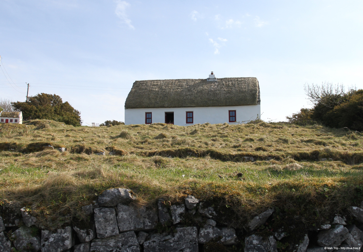 20120506_arancowragh4