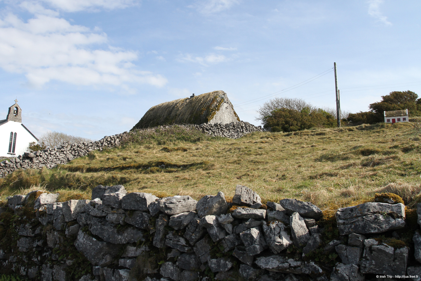 20120506_arancowragh5