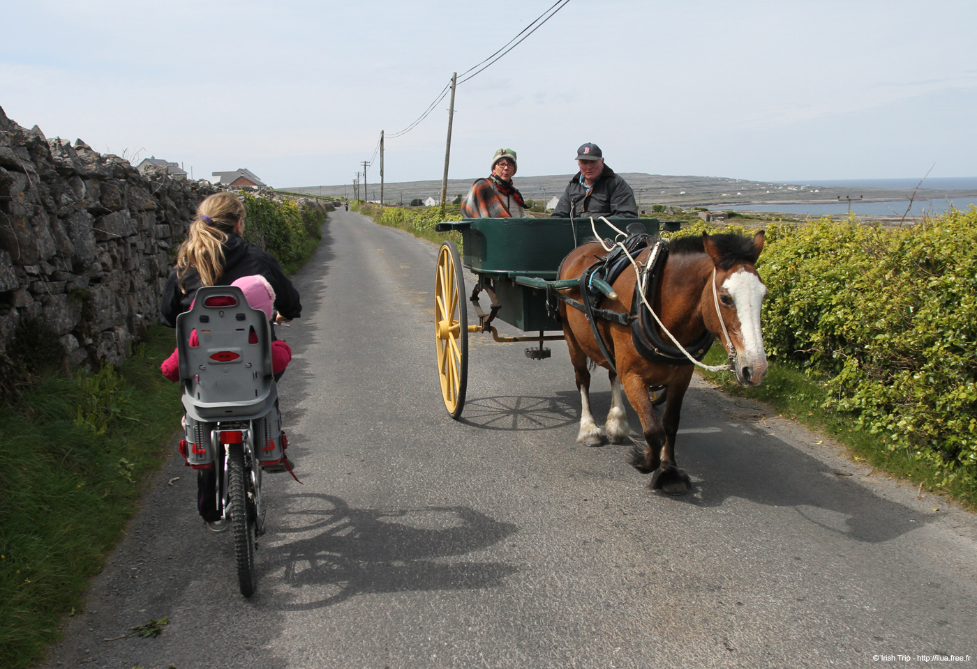 20120506_arancowraghroad2