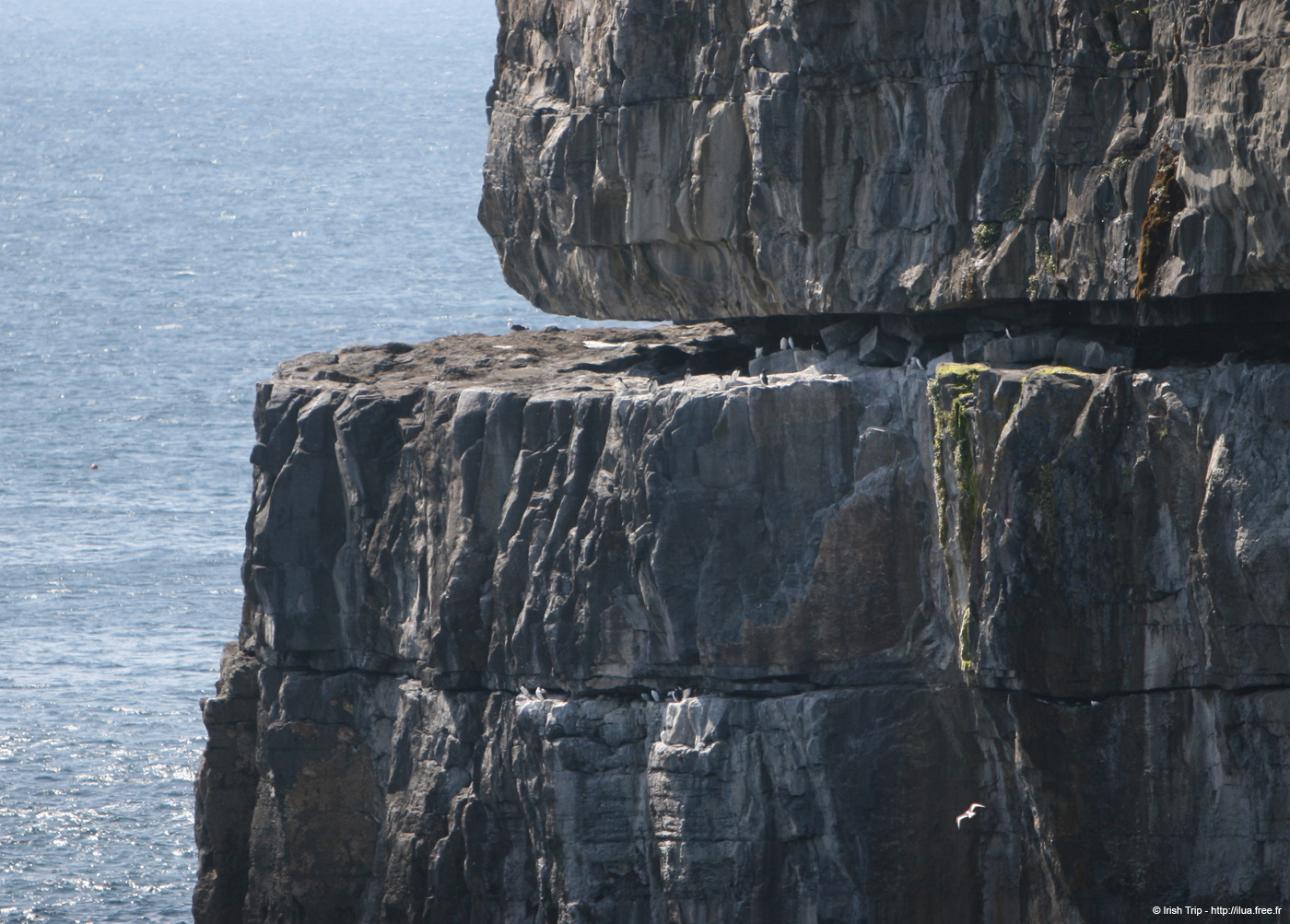 20120506_arandunaonghasacliffs13