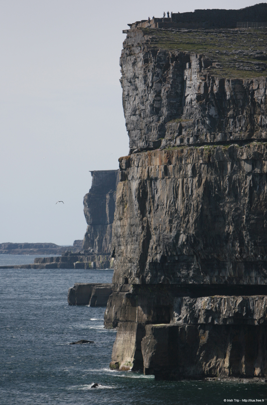 20120506_arandunaonghasacliffs17