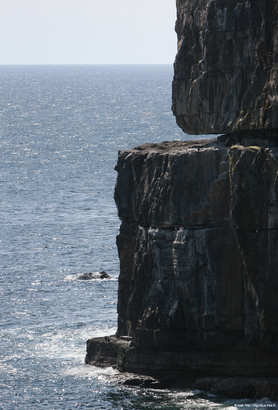 20120506_arandunaonghasacliffs19