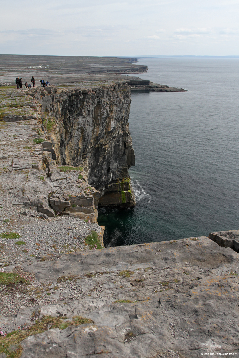 20120506_arandunaonghasacliffse02