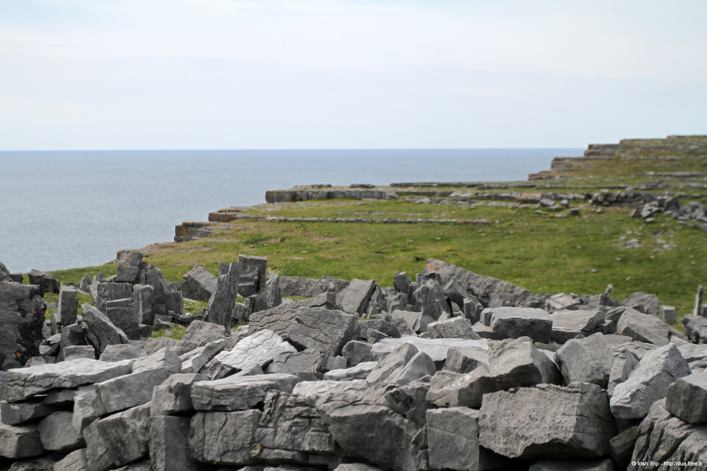 20120506_arandunaonghasafortchevauxdefrise06