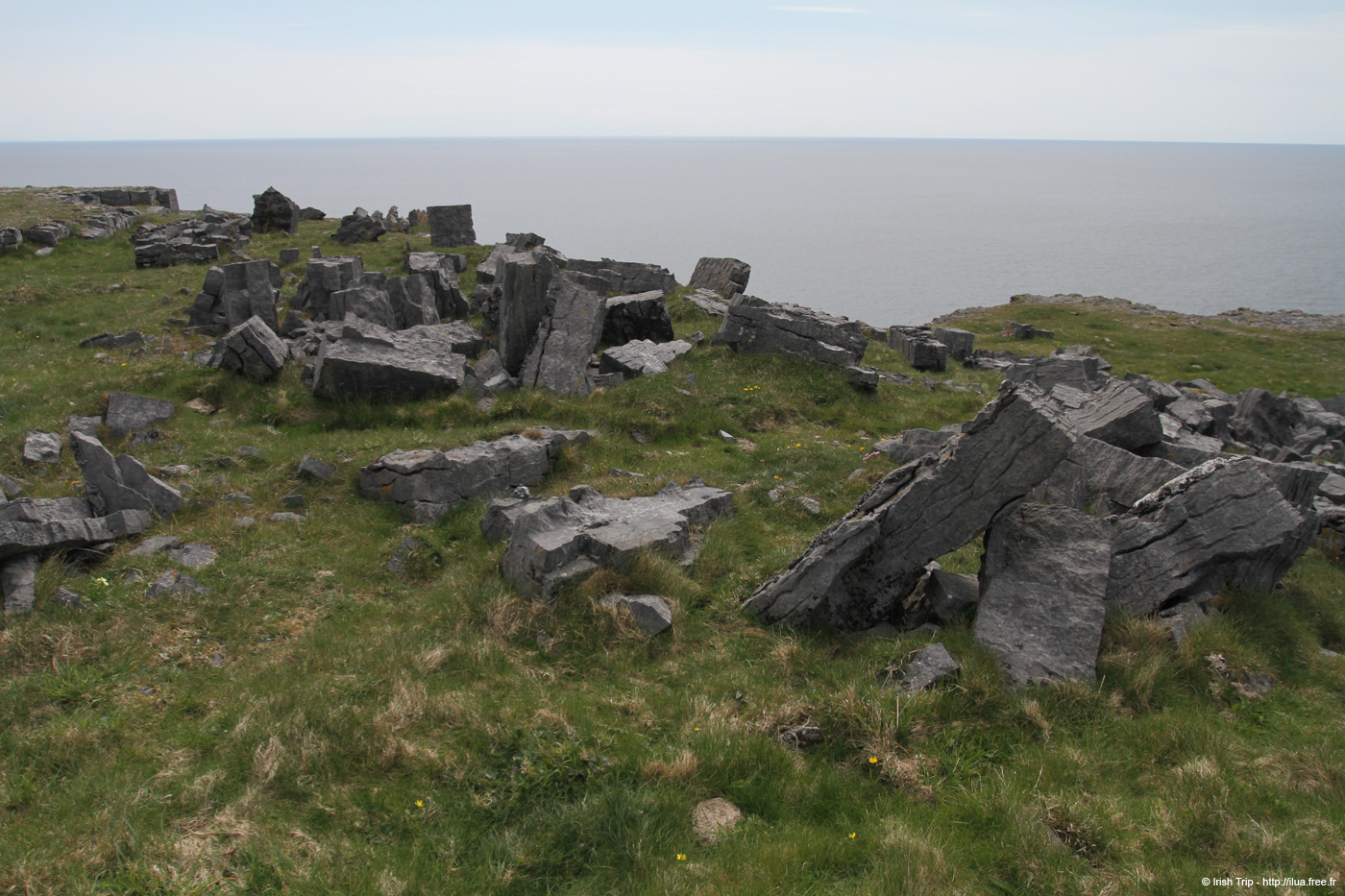 20120506_arandunaonghasafortchevauxdefrise08