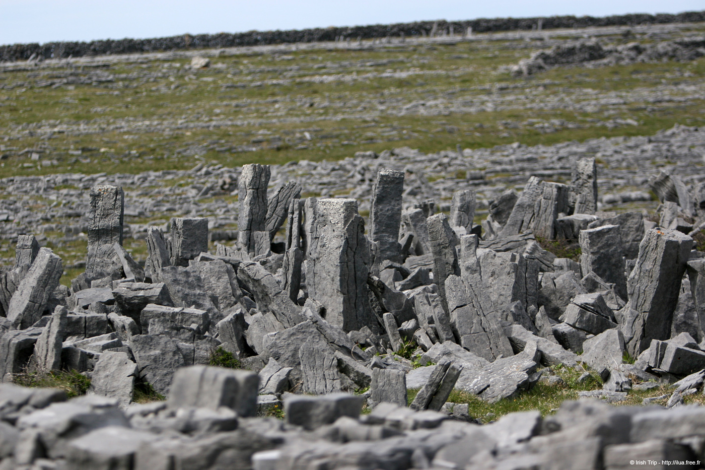 20120506_arandunaonghasafortchevauxdefrise12