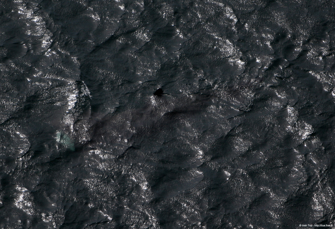 20120506_arandunaonghasasharkfromcliffs11