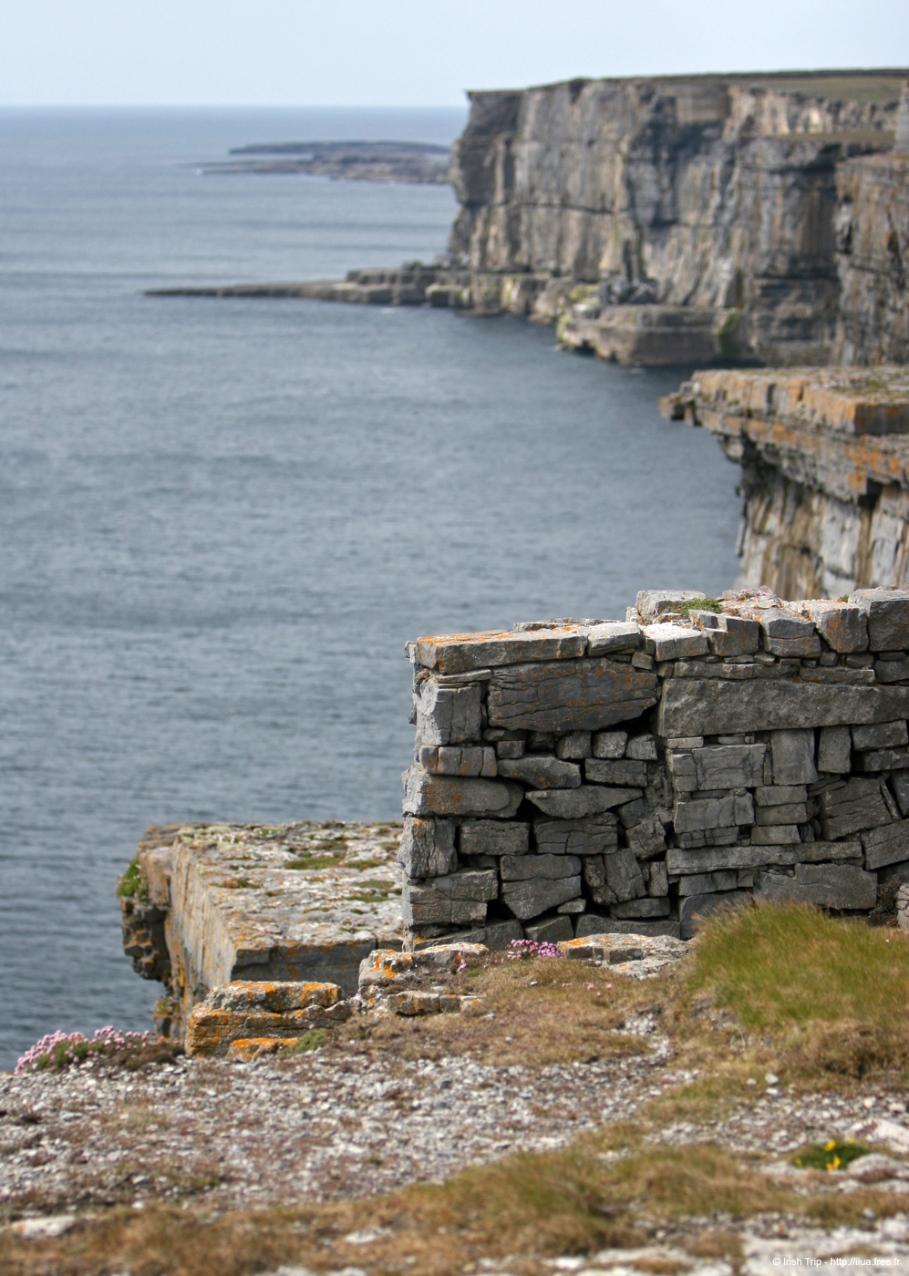 20120506_arandunaonghasawesterncliffs2