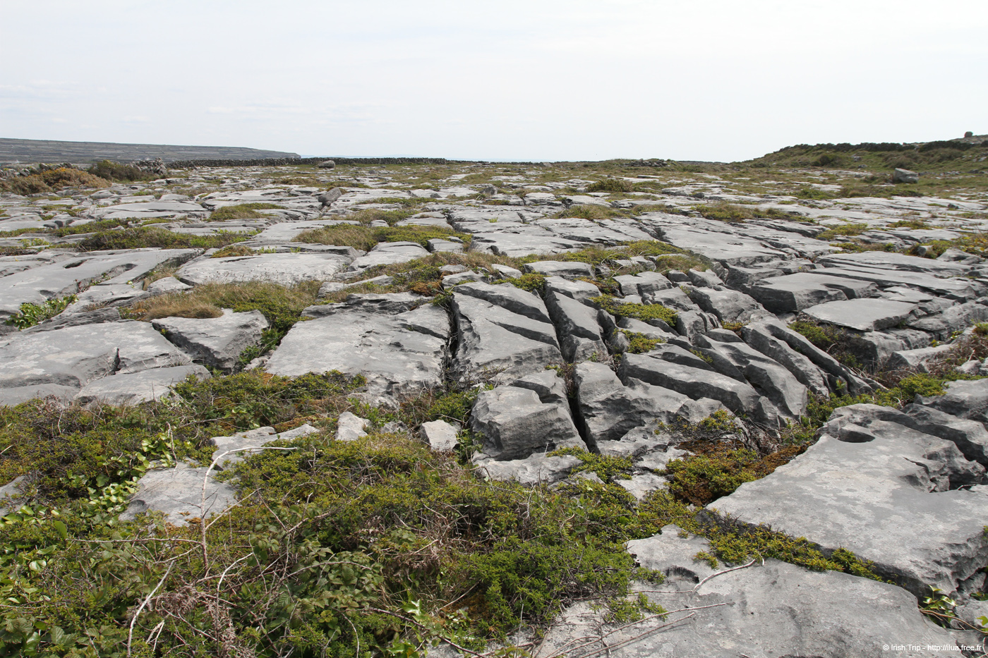 20120506_arankilmurvyisthmusland05