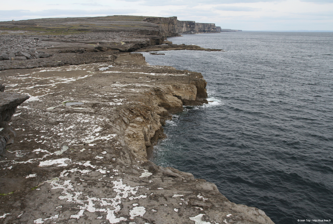 20120506_aranmweeleenareeavacoast04