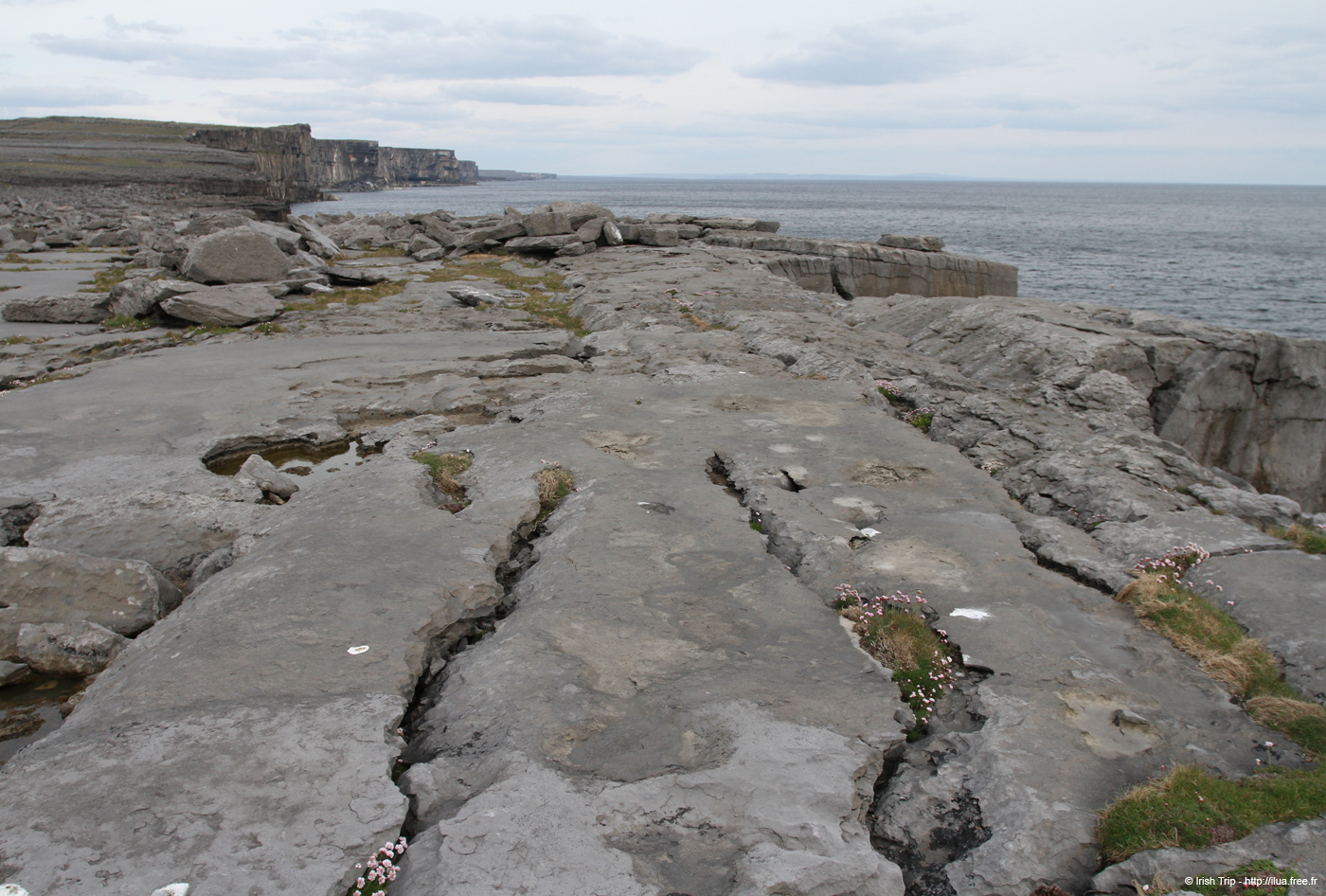 20120506_aranmweeleenareeavacoast08