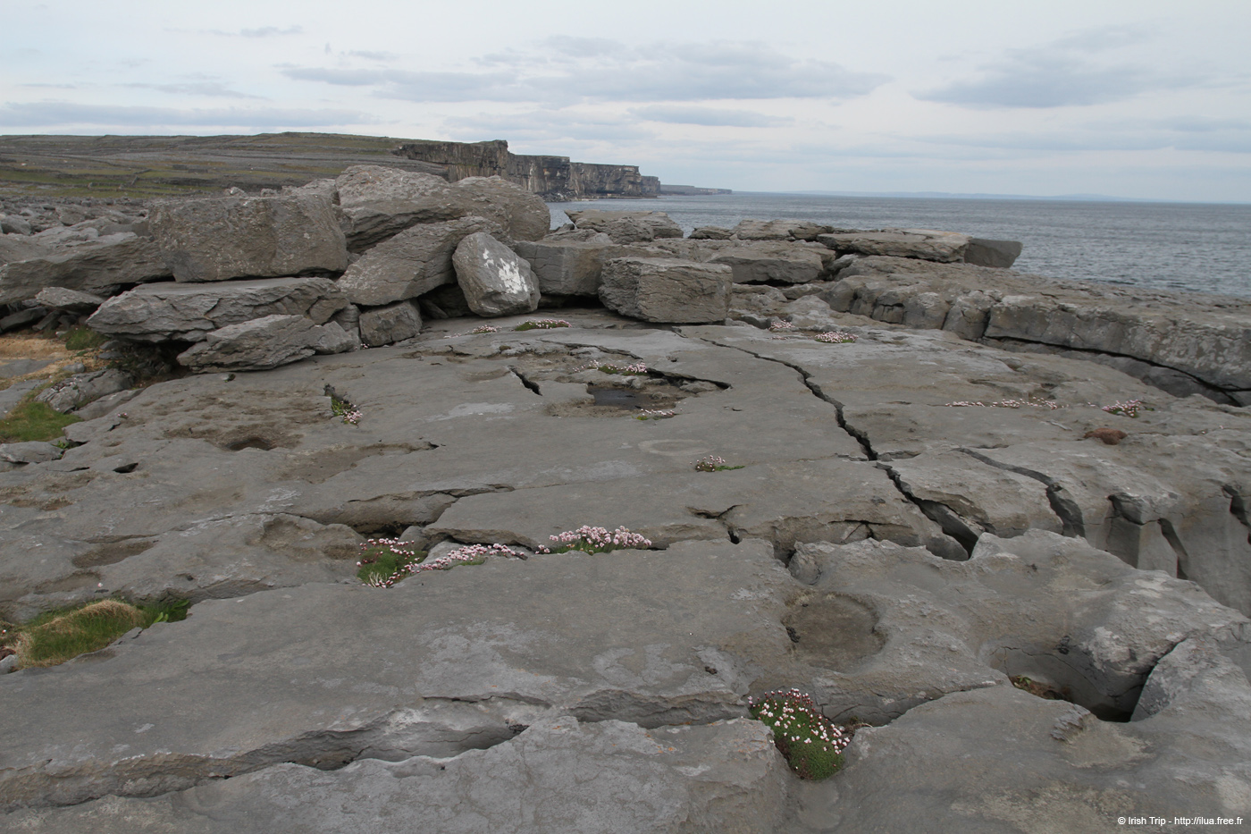 20120506_aranmweeleenareeavacoast09