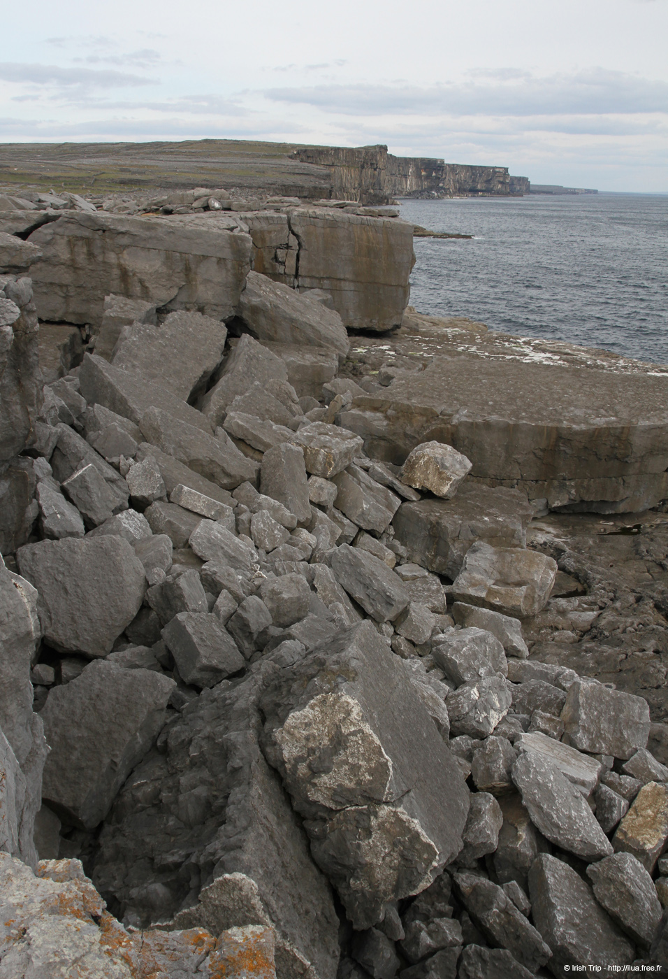 20120506_aranmweeleenareeavacoast16