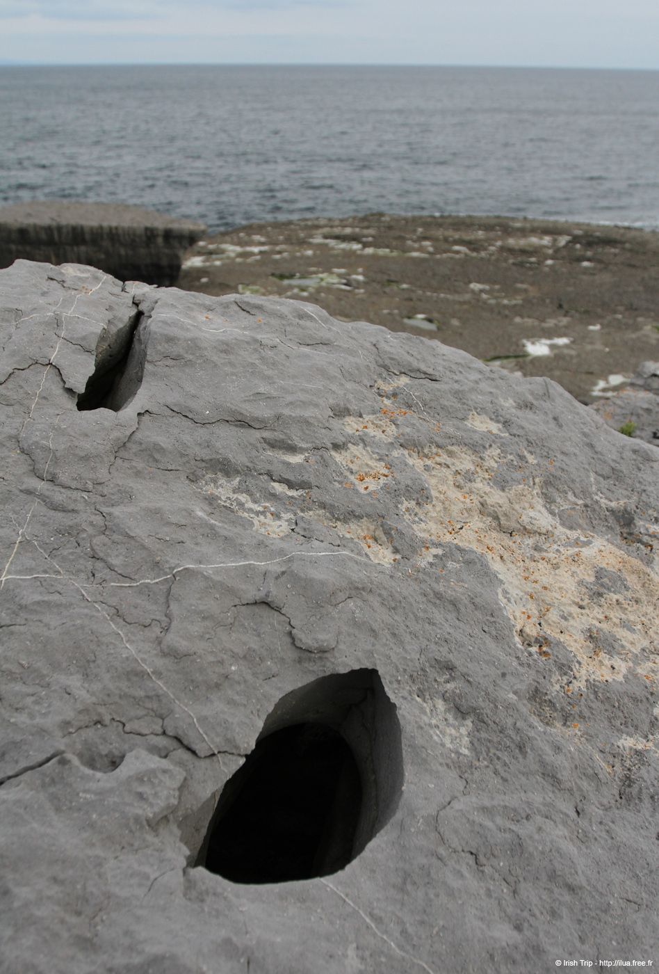 20120506_aranmweeleenareeavahead01