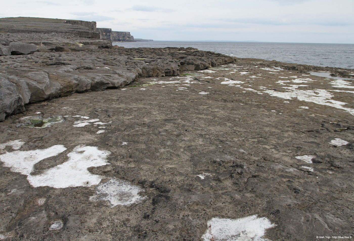 20120506_aranmweeleenareeavahead04