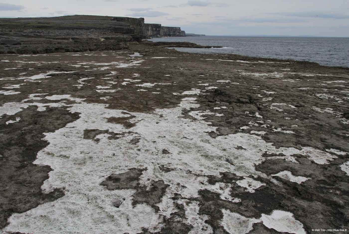 20120506_aranmweeleenareeavahead05