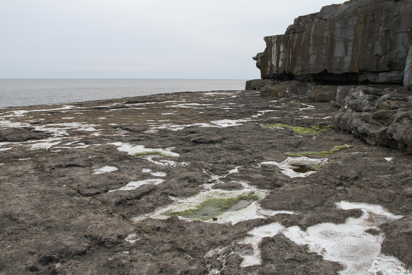 20120506_aranmweeleenareeavahead20