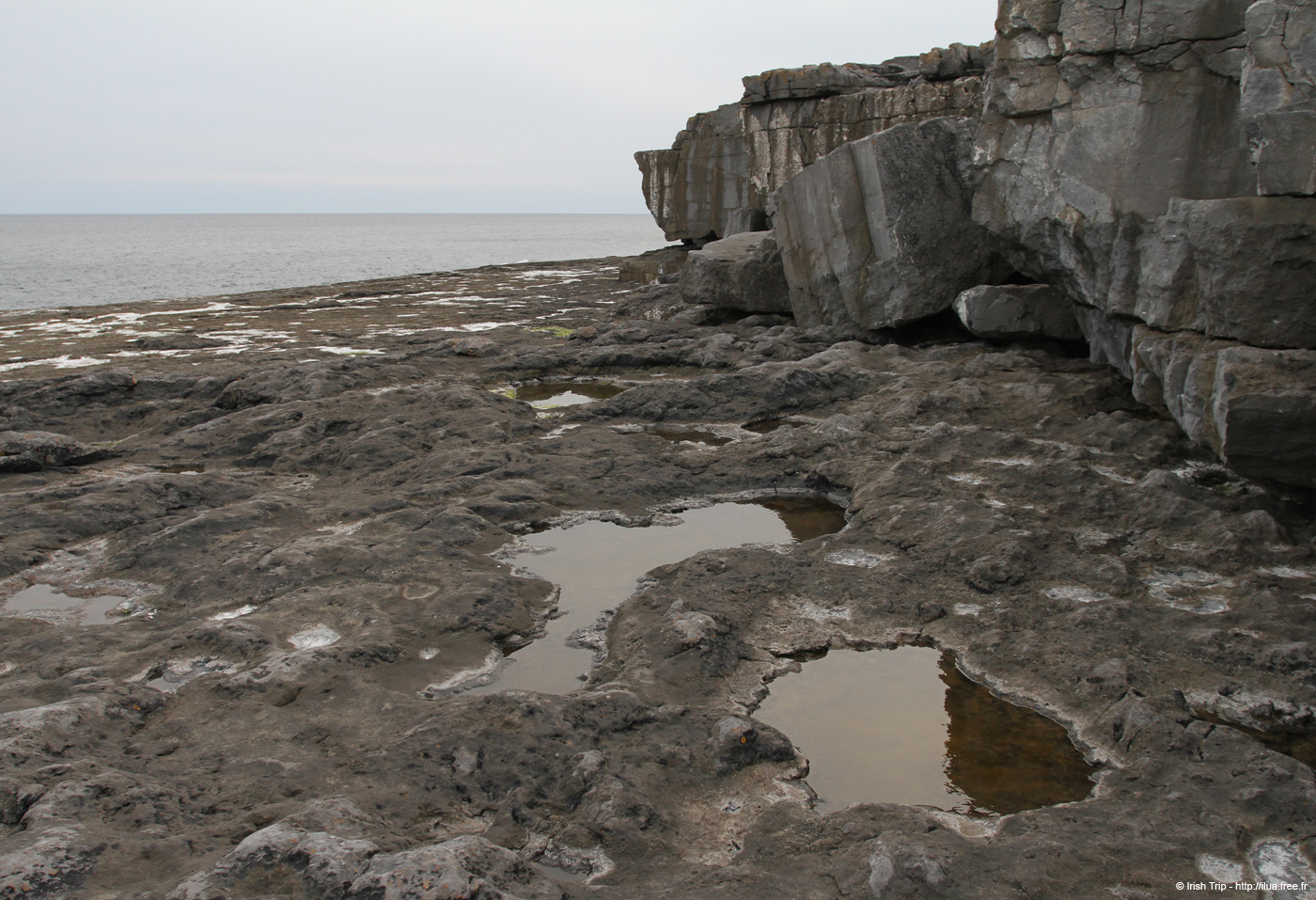 20120506_aranmweeleenareeavahead21