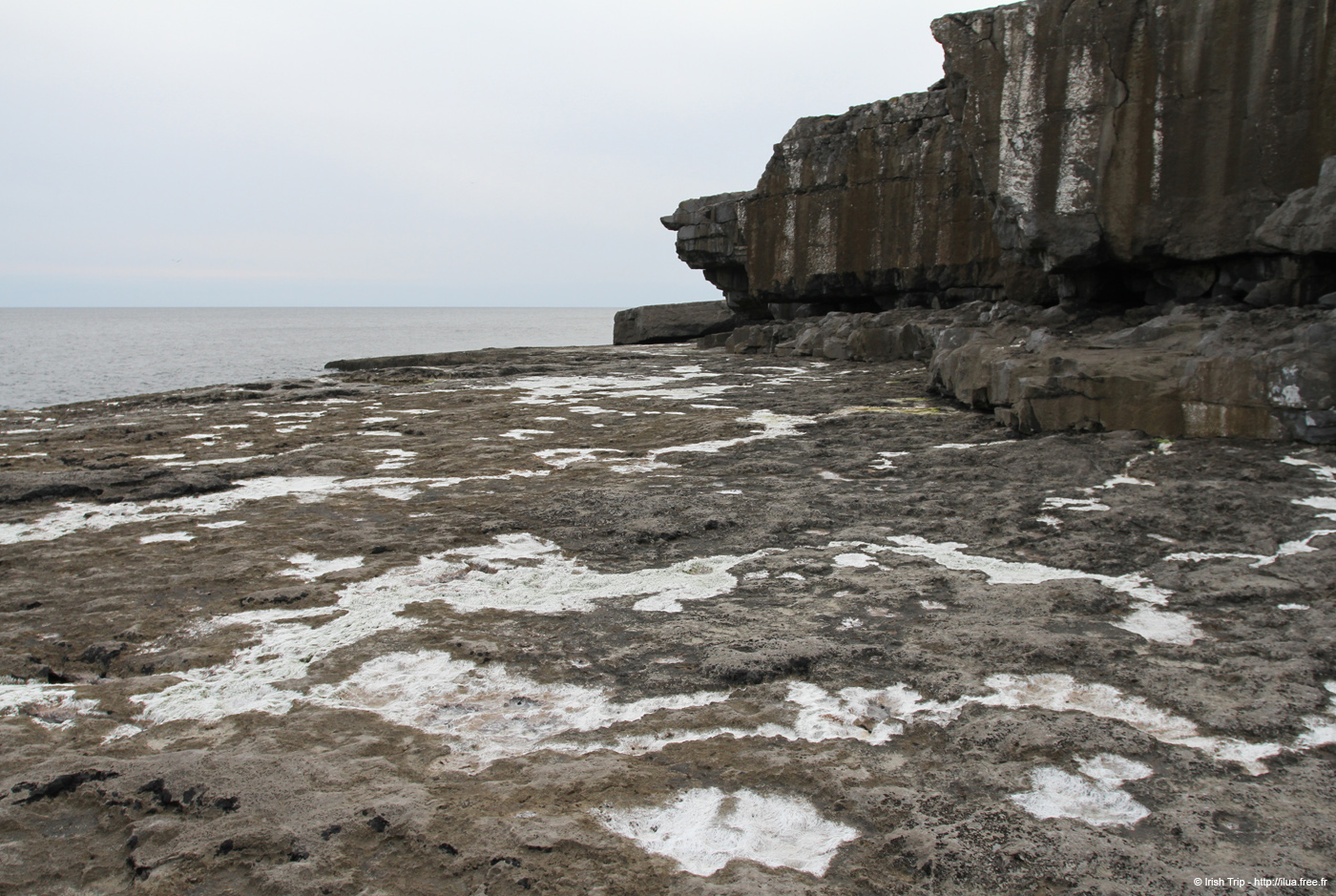 20120506_aranmweeleenareeavahead22