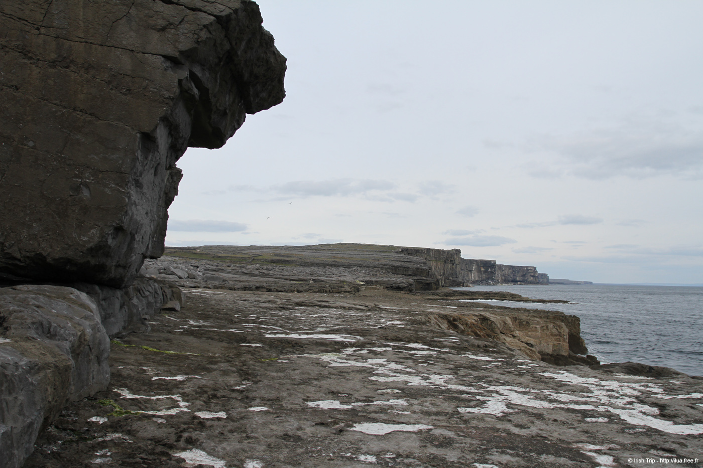 20120506_aranmweeleenareeavahead26