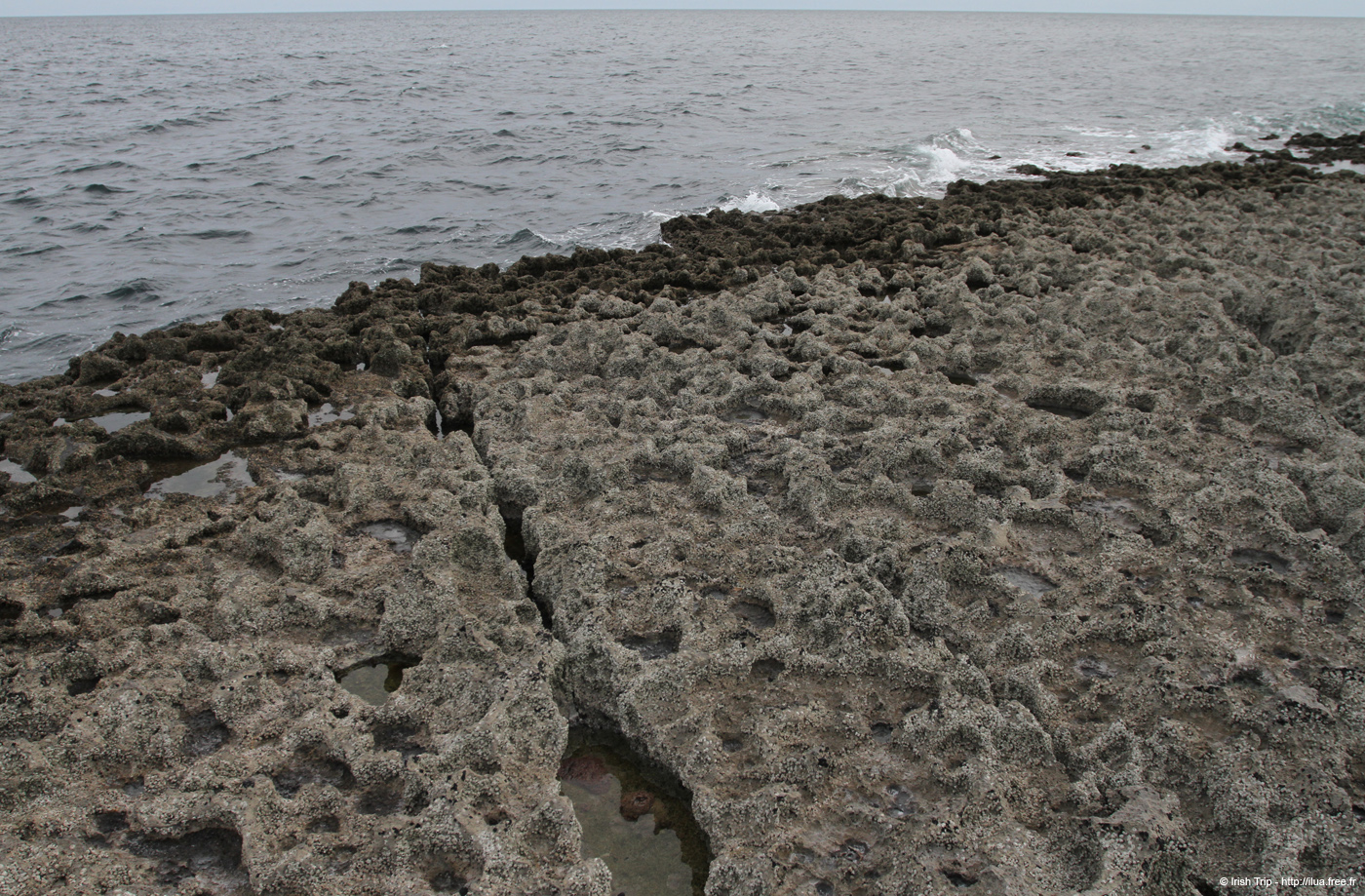 20120506_aranmweeleenareeavahead35