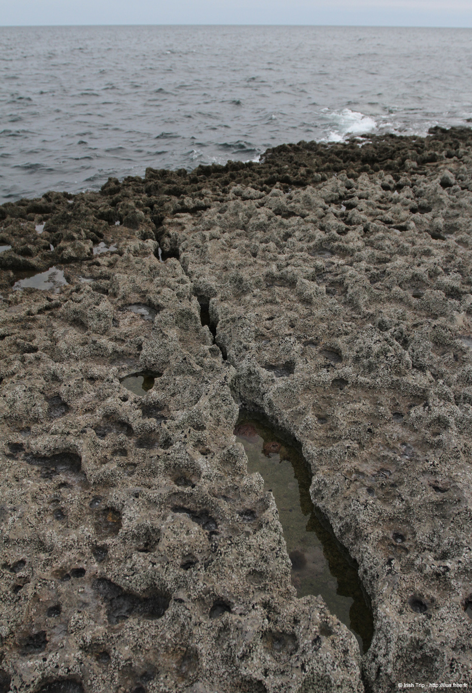 20120506_aranmweeleenareeavahead36