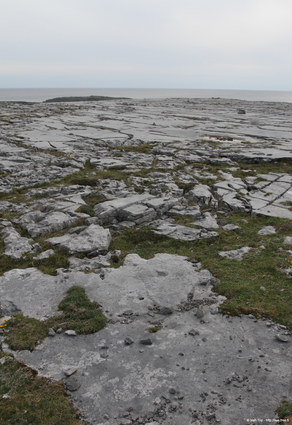 20120506_aranmweeleenareeavahead37