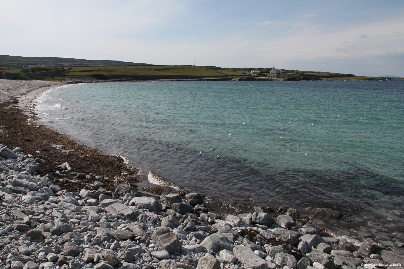 20120506_aranportmurvybeach3